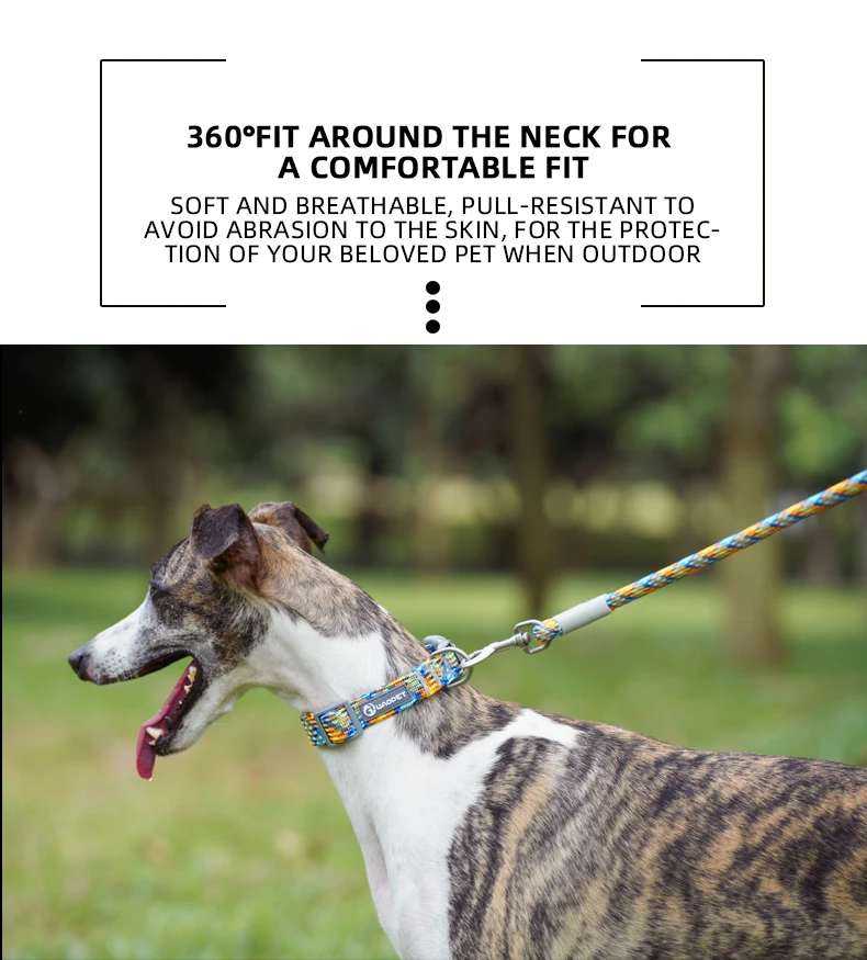 Pet Supplies Dog Collar For Puppy Medium Large Dogs Cute Cat Durable Life Dog Leash Collar German Shepherd Walking Training New