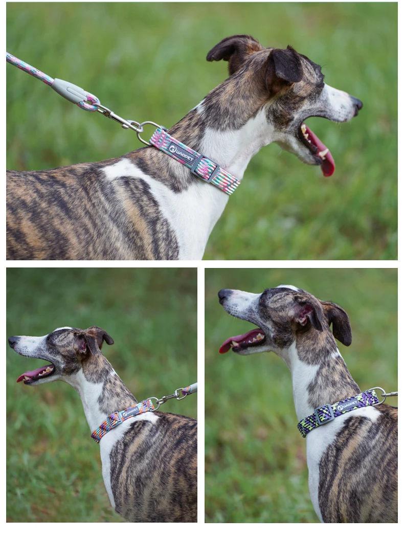 Pet Supplies Dog Collar For Puppy Medium Large Dogs Cute Cat Durable Life Dog Leash Collar German Shepherd Walking Training New