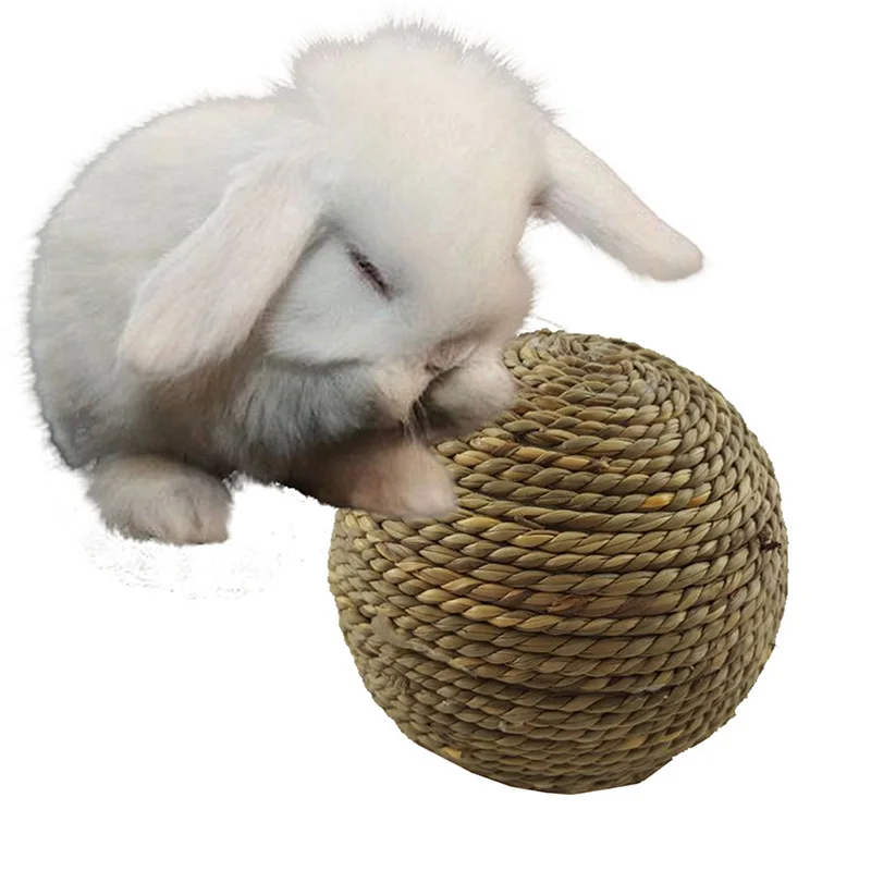 6/10cm Chewing Braided Ball Guinea Pig Rabbit Hamster Small Animal Play Pet Interactive Chew Toy Natural Grass Ball Fun Pet Toys