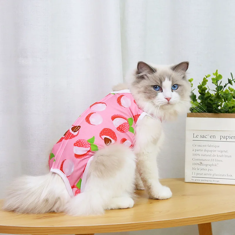 Cat Professional Recovery Suit for Abdominal Wounds or Skin Diseases Spay Suit for Female Cat Neuter Suit for Male Cats