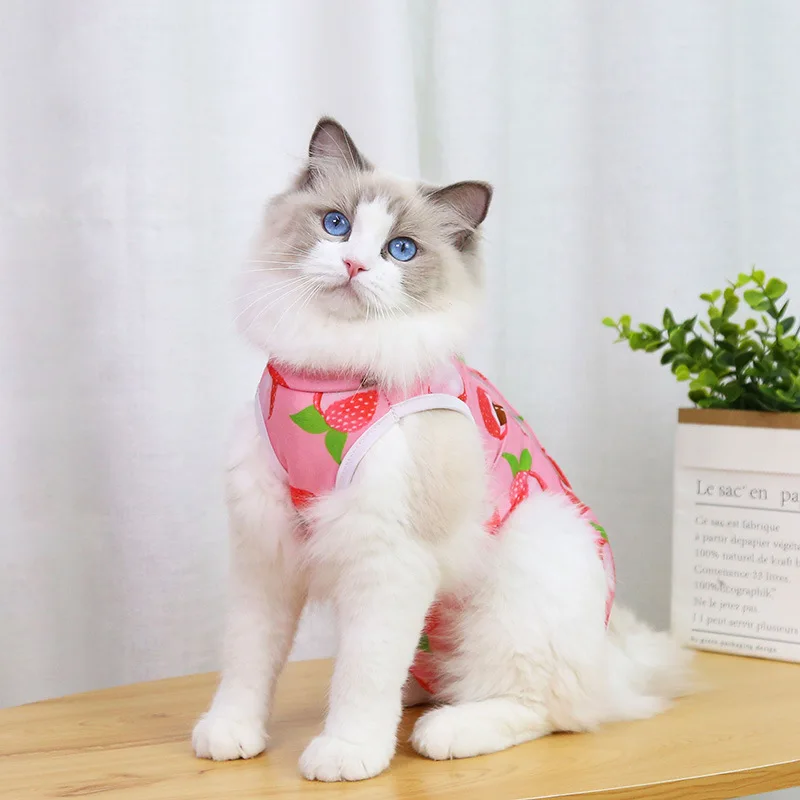 Cat Professional Recovery Suit for Abdominal Wounds or Skin Diseases Spay Suit for Female Cat Neuter Suit for Male Cats