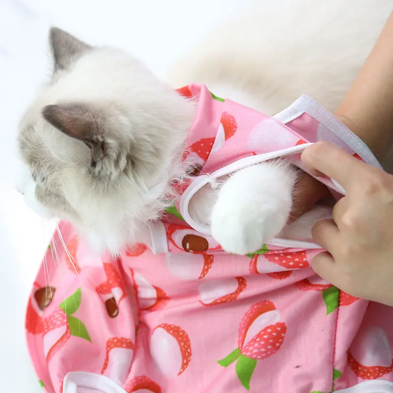 Cat Professional Recovery Suit for Abdominal Wounds or Skin Diseases Spay Suit for Female Cat Neuter Suit for Male Cats