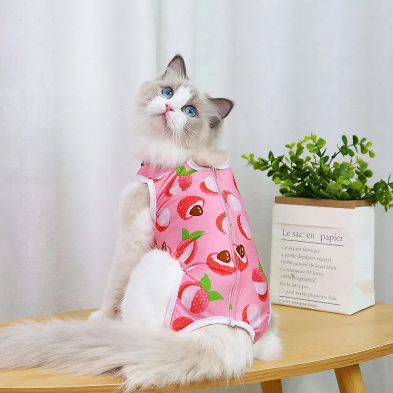 Cat Professional Recovery Suit for Abdominal Wounds or Skin Diseases Spay Suit for Female Cat Neuter Suit for Male Cats