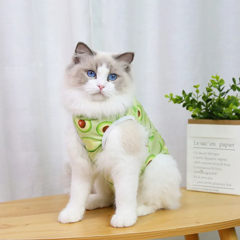 Cat Professional Recovery Suit for Abdominal Wounds or Skin Diseases Spay Suit for Female Cat Neuter Suit for Male Cats