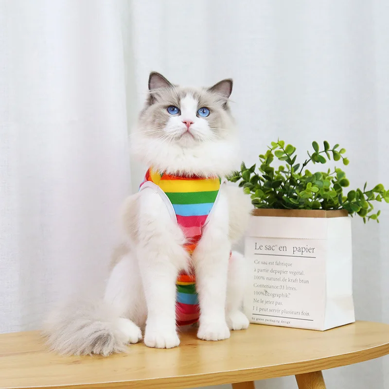 Cat Professional Recovery Suit for Abdominal Wounds or Skin Diseases Spay Suit for Female Cat Neuter Suit for Male Cats