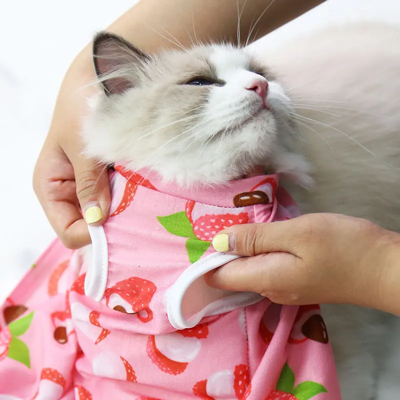 Cat Professional Recovery Suit for Abdominal Wounds or Skin Diseases Spay Suit for Female Cat Neuter Suit for Male Cats