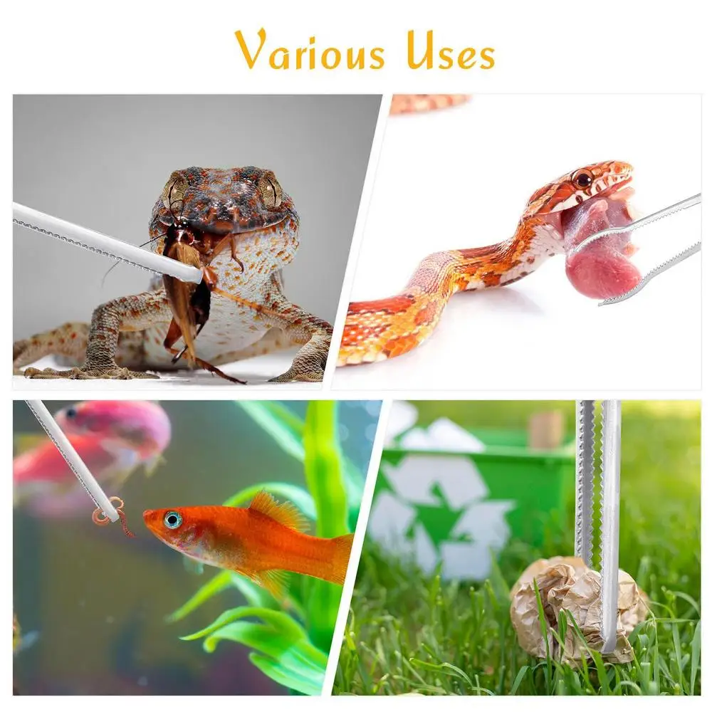 Stainless Steel Reptile Feeder 15 Inches Anti-Skid Feeding Tongs Aquascaping Tools For Hold Worm Steel Reptile Feeding Tong