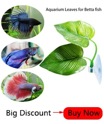 10Pcs Transparent Black Aquarium Suction Cup Air Tube Holder Sucker for Fish Tank Pump Oxygen Air Tube Fixing Clip Accessories