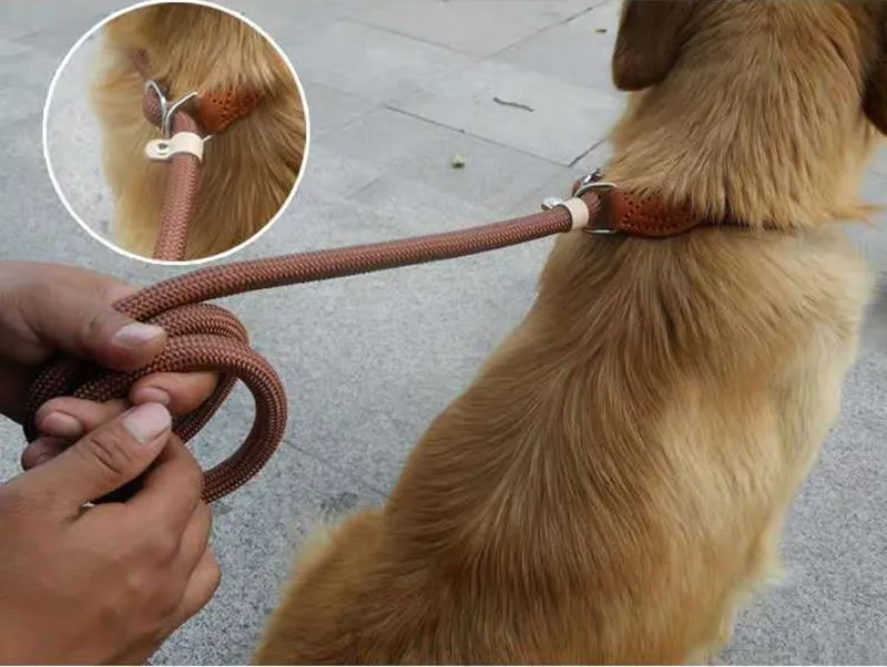 Dog Walking Leash Slip Rope Lead Leash Heavy Duty Braided Rope Adjustable Loop Collar Training Leashes for Large Dogs