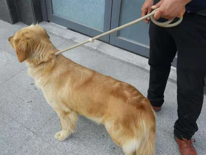 Dog Walking Leash Slip Rope Lead Leash Heavy Duty Braided Rope Adjustable Loop Collar Training Leashes for Large Dogs
