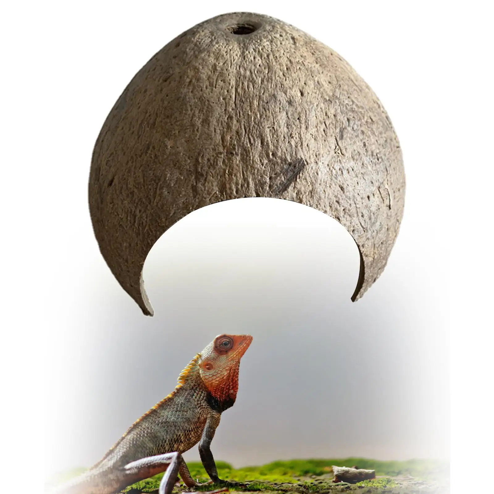 Coconut Shells Hut Reptile Hideouts Shelter Hide Breeding Hermit Ornament House Growth for Aquarium Decor