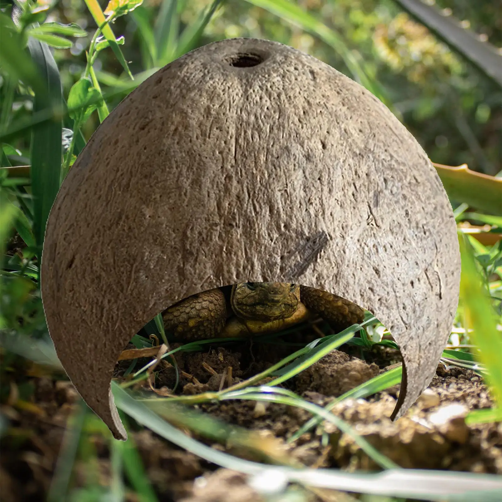Coconut Shells Hut Reptile Hideouts Shelter Hide Breeding Hermit Ornament House Growth for Aquarium Decor