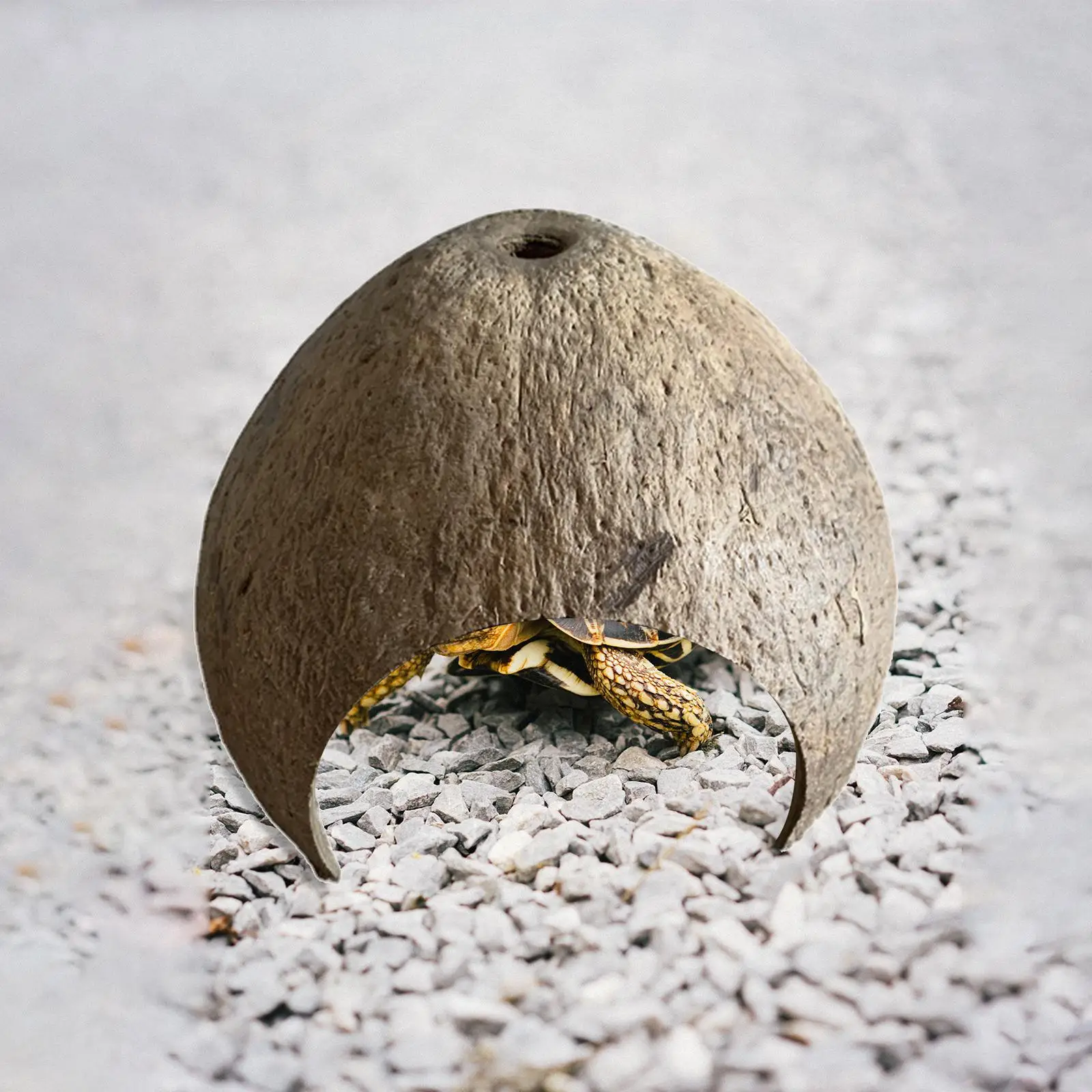 Coconut Shells Hut Reptile Hideouts Shelter Hide Breeding Hermit Ornament House Growth for Aquarium Decor