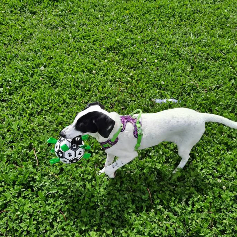 Interactive Pet Football Toys With Grab Tabs Dog Bite Chew Balls Pets Accessories Puppy Outdoor Training Soccer 15cm