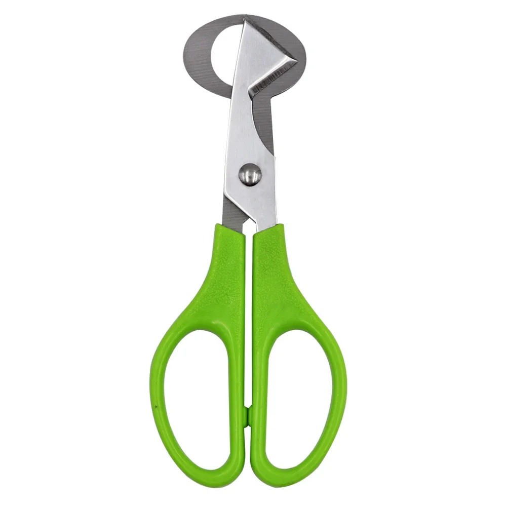 10PCS Stainless Steel Quail Egg Cutter Scissors Pigeon Bird Quail Egg Cutter Opener Cracker Kitchen Clipper Tool