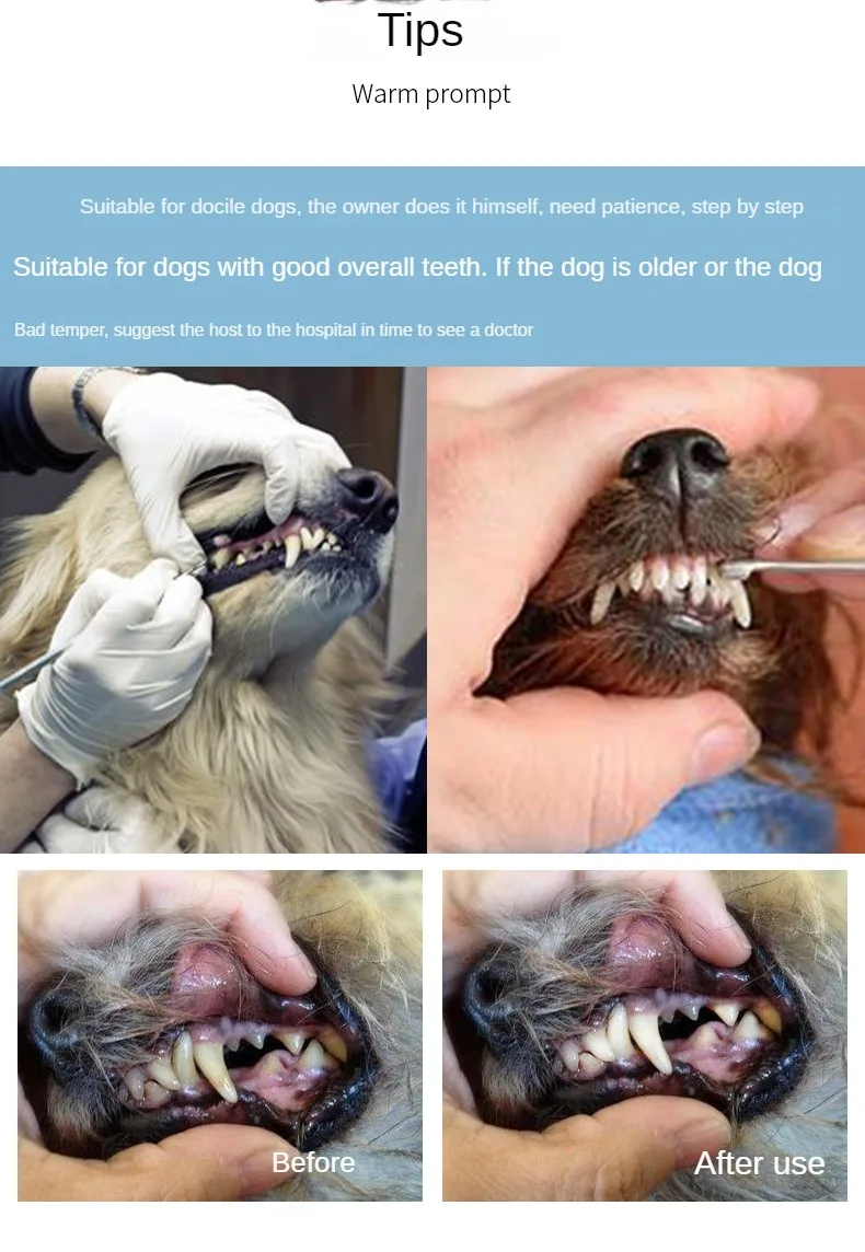 Stainless Steel Pet Tooth Cleaning Tool, Used To Remove Stains and Tartar. Dental Endoscopic Care Set for Dogs and Cats