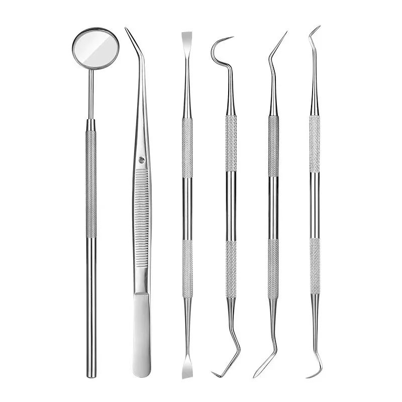 Stainless Steel Pet Tooth Cleaning Tool, Used To Remove Stains and Tartar. Dental Endoscopic Care Set for Dogs and Cats