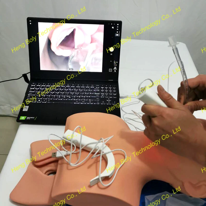 Cheap Video Laryngoscope Digital Portable Disposable USB Video Laryngoscope