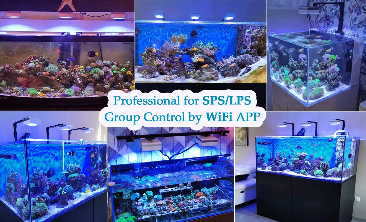 NEW PopBloom RL90 WiFi Led Aquarium Light Full Spectrum, Reef Light Aquarium Saltwater Coral Growing Marine Aquarium Tank Lamp