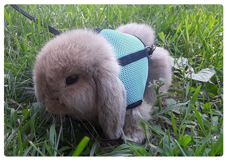 Mutil-Colors Breathable Stylish Vest Small Pet Carrier Bag Adjustable Soft Harness And Elastic Leash Set For Rabbits
