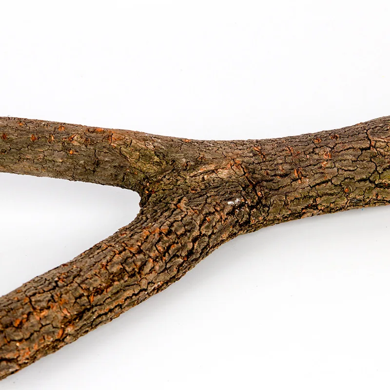 15/20/30cm Natural Wood Pet Parrot Raw Wood Fork Tree Branch Stand Rack Squirrel Bird Hamster Branch Perches Chew Toy StickD9091