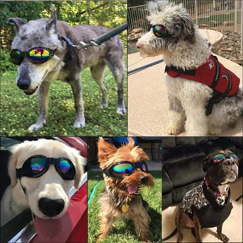 6 Colors Cute Pet Dog Sunglass Sun Glasses Pet Cat Goggles Eye Wear Puppy Eye Protection Pet Grooming Accessories Pet Decoration