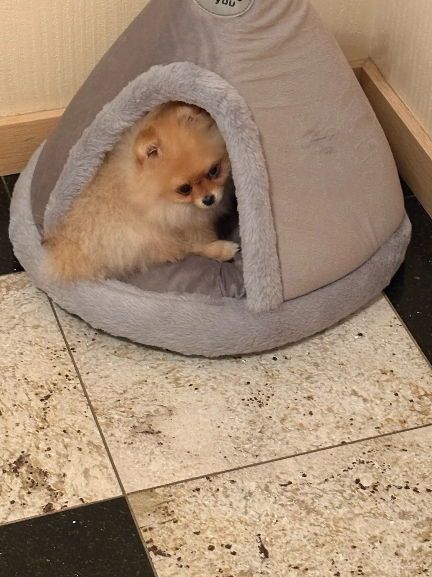 Dog Kennel Warm Winter Dog House Mat Detachable Washable Dogs Bed Nest Deep Sleep Tent for Medium Large Dogs House Supplies