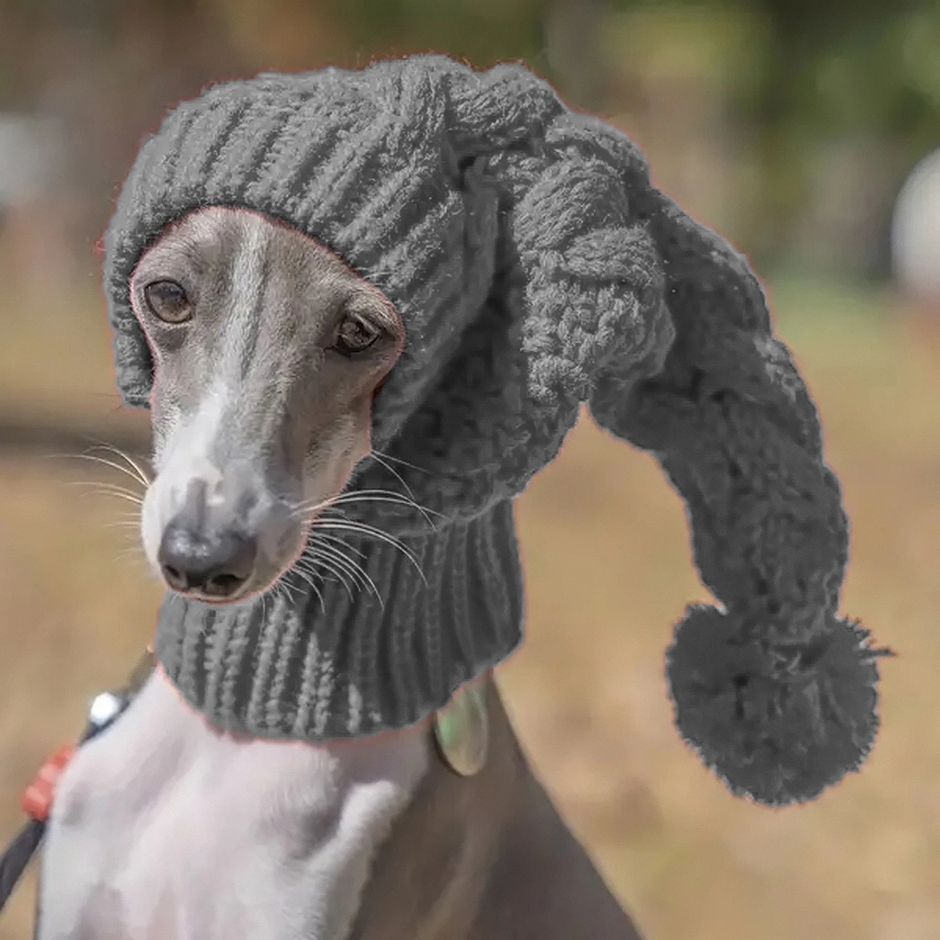 Hand Knit Winter Wool Greyhound Large Dog Beanie Hat Dog Accessories Whippet Snood for Dogs