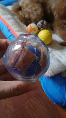 CAITEC Dog Toy Amazing Squeaker Ball Durable Floatable Springy Bite Resistant Best for Tossing Chasing Foraging Medium Large Dog
