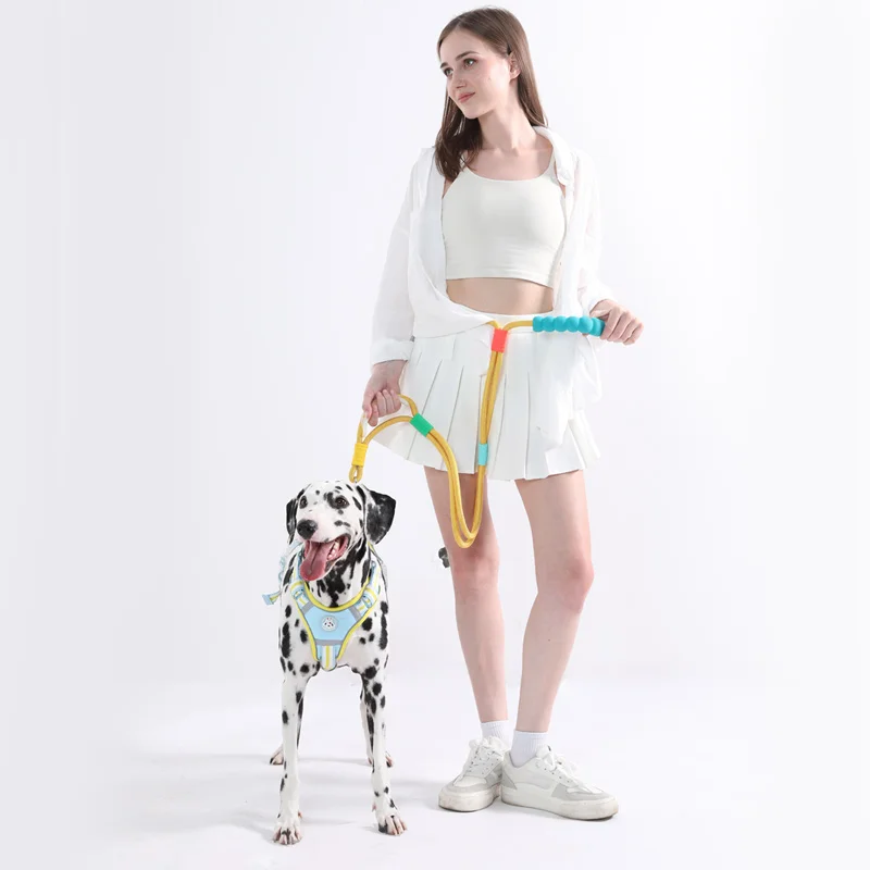 Versatile Pet Traction Leashes with a Comfortable Foam Handle