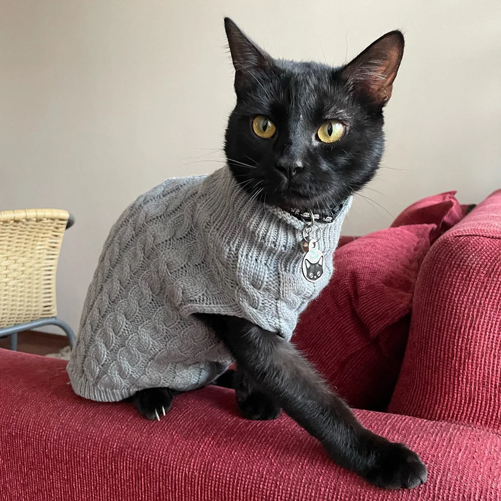Warm Knitted Sphynx Cat Sweater Winter Pet Clothes for Cats Mascotas Clothing Katten Kedi Kitten Puppy Pullovers Ropa Para Gatos