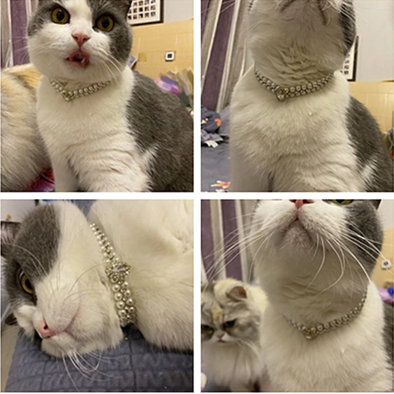 Luxury Cat Puppy Pearl Necklace Rhinestone Collar for Cats Small Dogs Ragdoll Cat Sphynx Necklaces Pet Accessories Collier Chat
