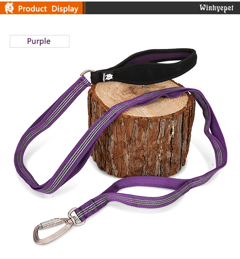TRUELOVE Pet Leash Carabiner Traction Rope 3M Reflective Pull-resistant Nylon Webbing Big and Ferocious Dog Dedicated out YL1832