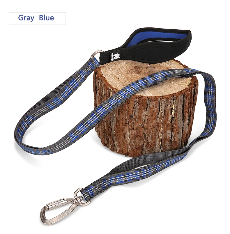 TRUELOVE Pet Leash Carabiner Traction Rope 3M Reflective Pull-resistant Nylon Webbing Big and Ferocious Dog Dedicated out YL1832