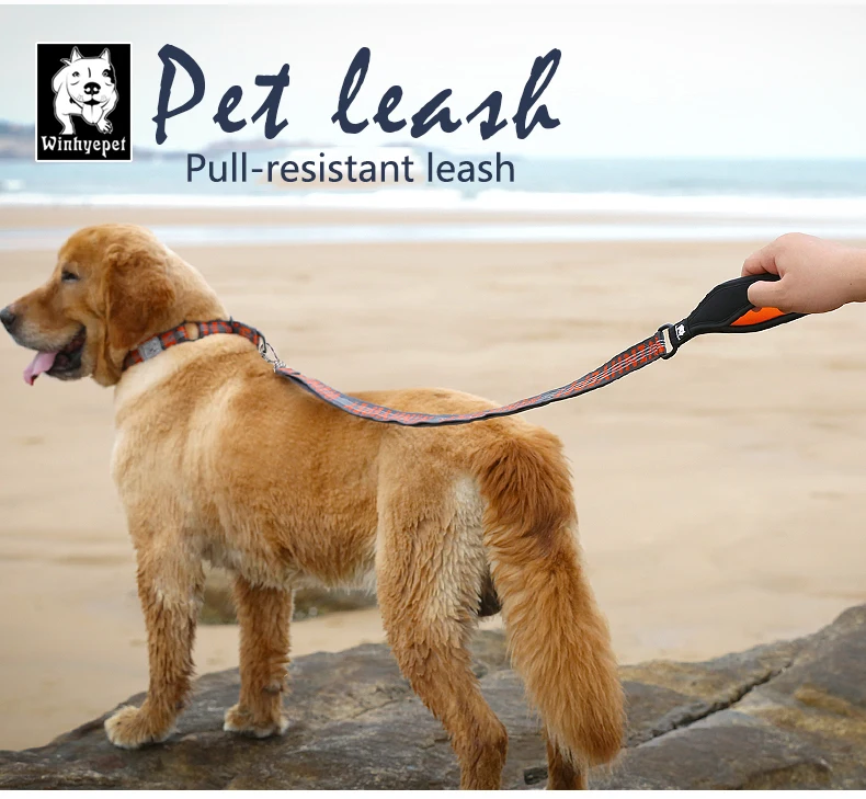 TRUELOVE Pet Leash Carabiner Traction Rope 3M Reflective Pull-resistant Nylon Webbing Big and Ferocious Dog Dedicated out YL1832