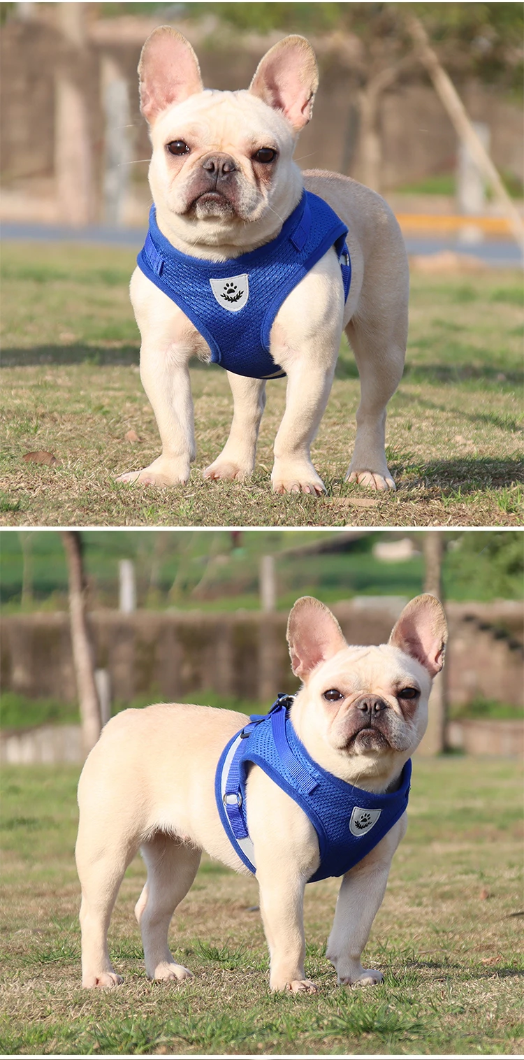 Dog Harness Leash Bulldog Vest Style Summer Reflective Puppy Harnesses Teddy Pet Supplies Breathable Rope Small Dog Collar Corgi