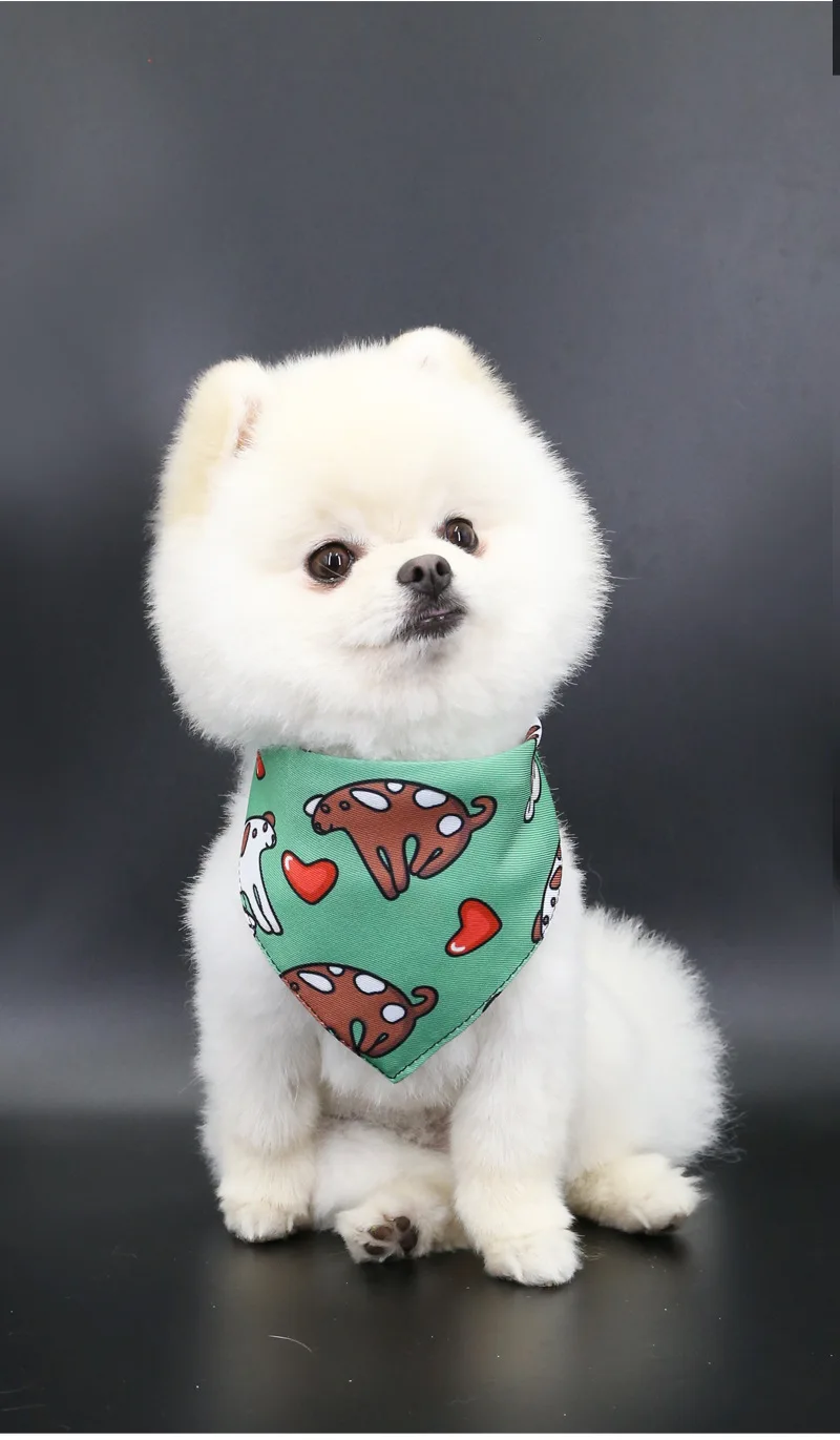 Pet Saliva Towel Adjustment Cute Cartoon Bear Weaved Dog Cat Collar Bib Grooming Arc Design Dog Scarf for Girl Small Dogs Cats