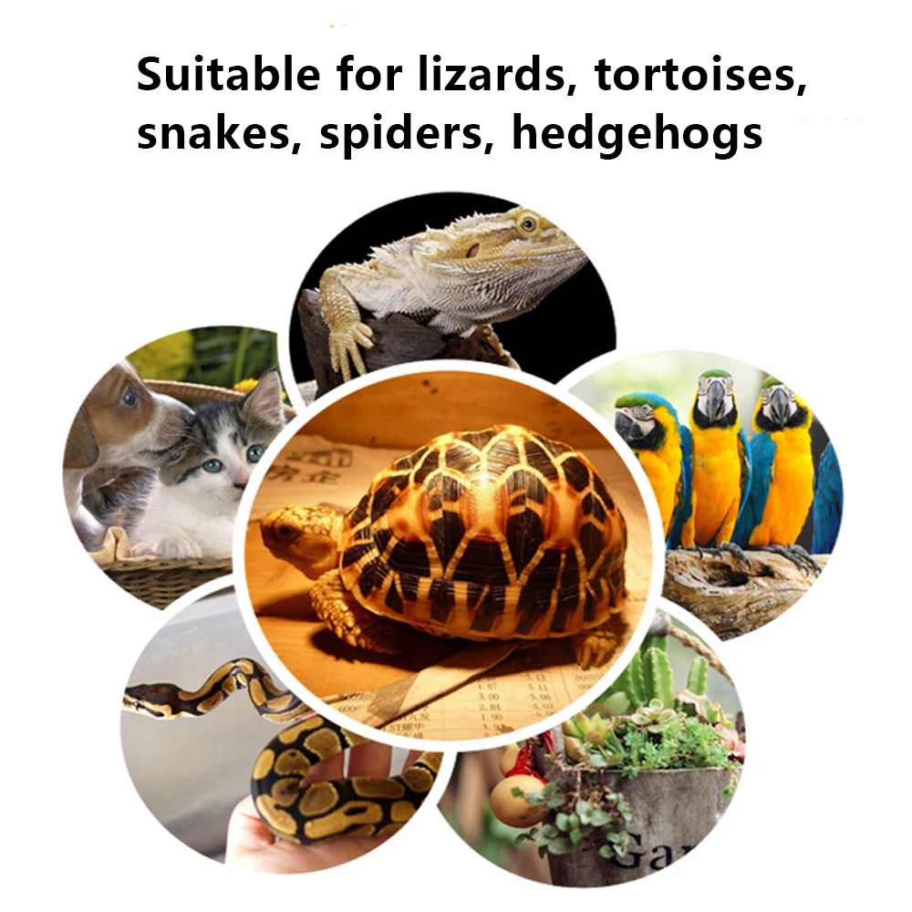 25/50/75/100W E27 Reptile Pet Heating Lamp Black Infrared Ceramic Emitter Heat Light Bulb Turtle Lizard Pet Brooder 220V