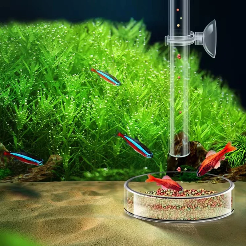 Acrylic Aquarium Feeder Tube Dish Transparent Fish Tank Shrimp Snail Shrimp Food Feeder Bowl Aquarium Feeding Accessories