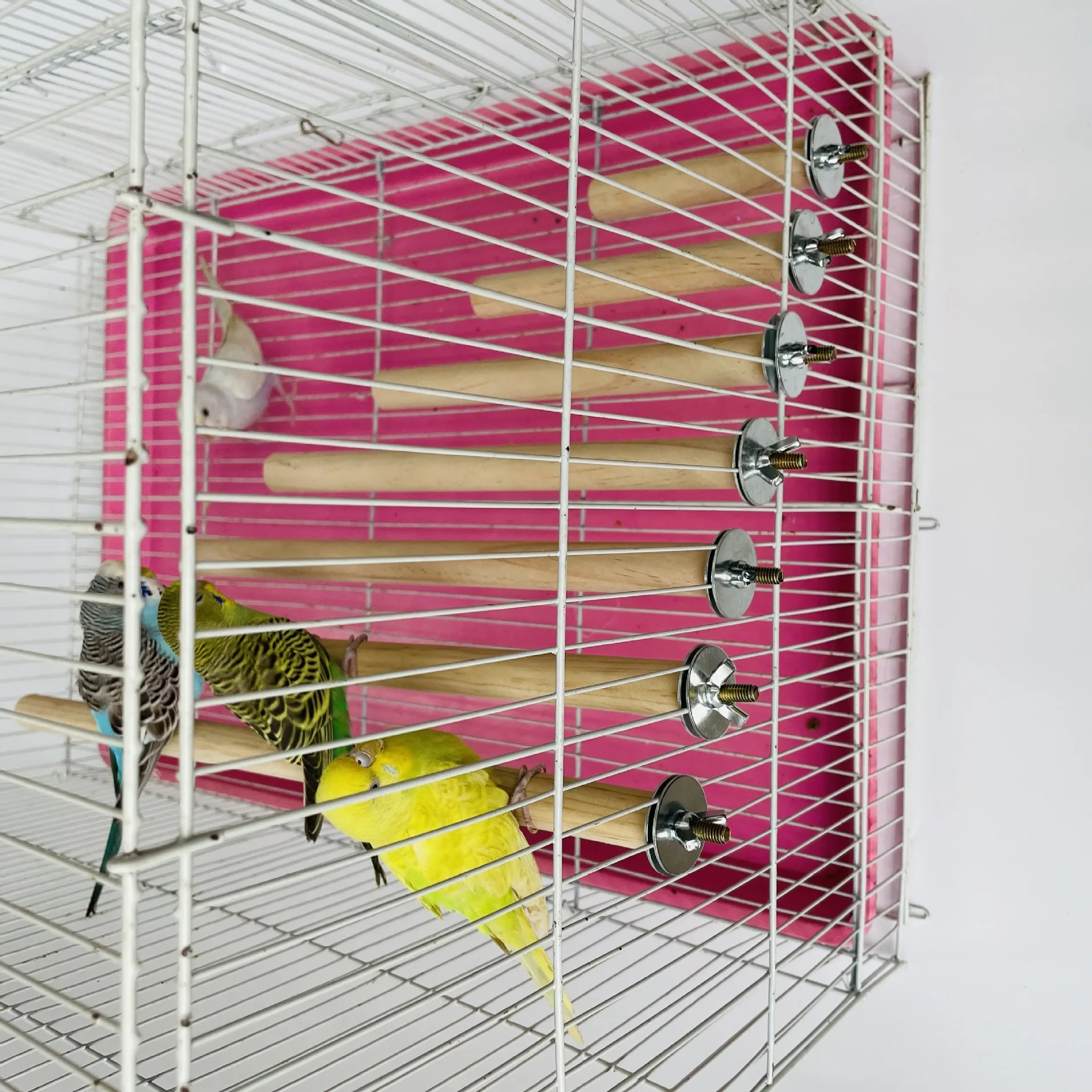 1/2ps Parrot Pet Raw Standing Stick Wood Hanging Stand RackToy Sticksstand Parakeet Branch Perches ForBird Cage Bar Pet Supplies
