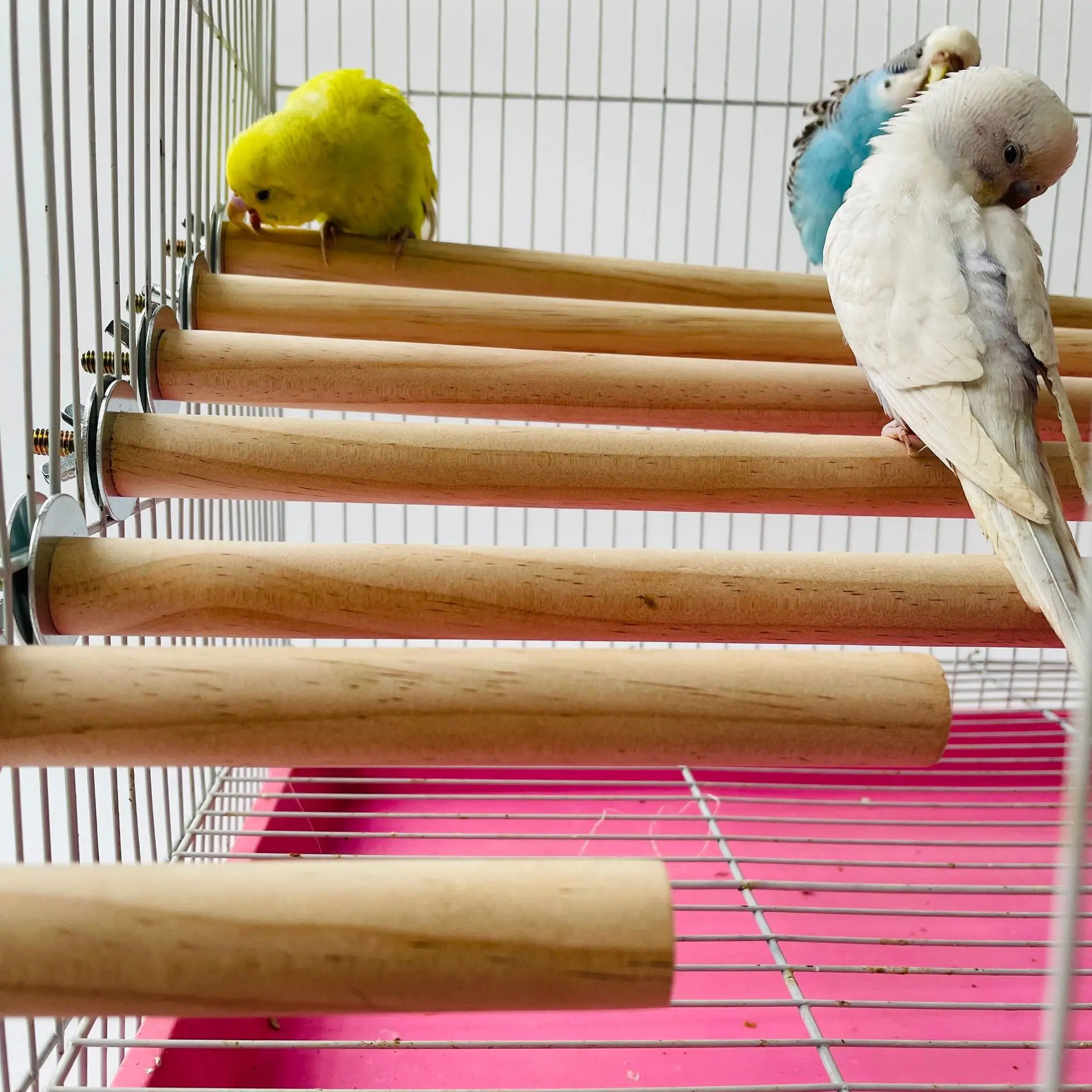 1/2ps Parrot Pet Raw Standing Stick Wood Hanging Stand RackToy Sticksstand Parakeet Branch Perches ForBird Cage Bar Pet Supplies