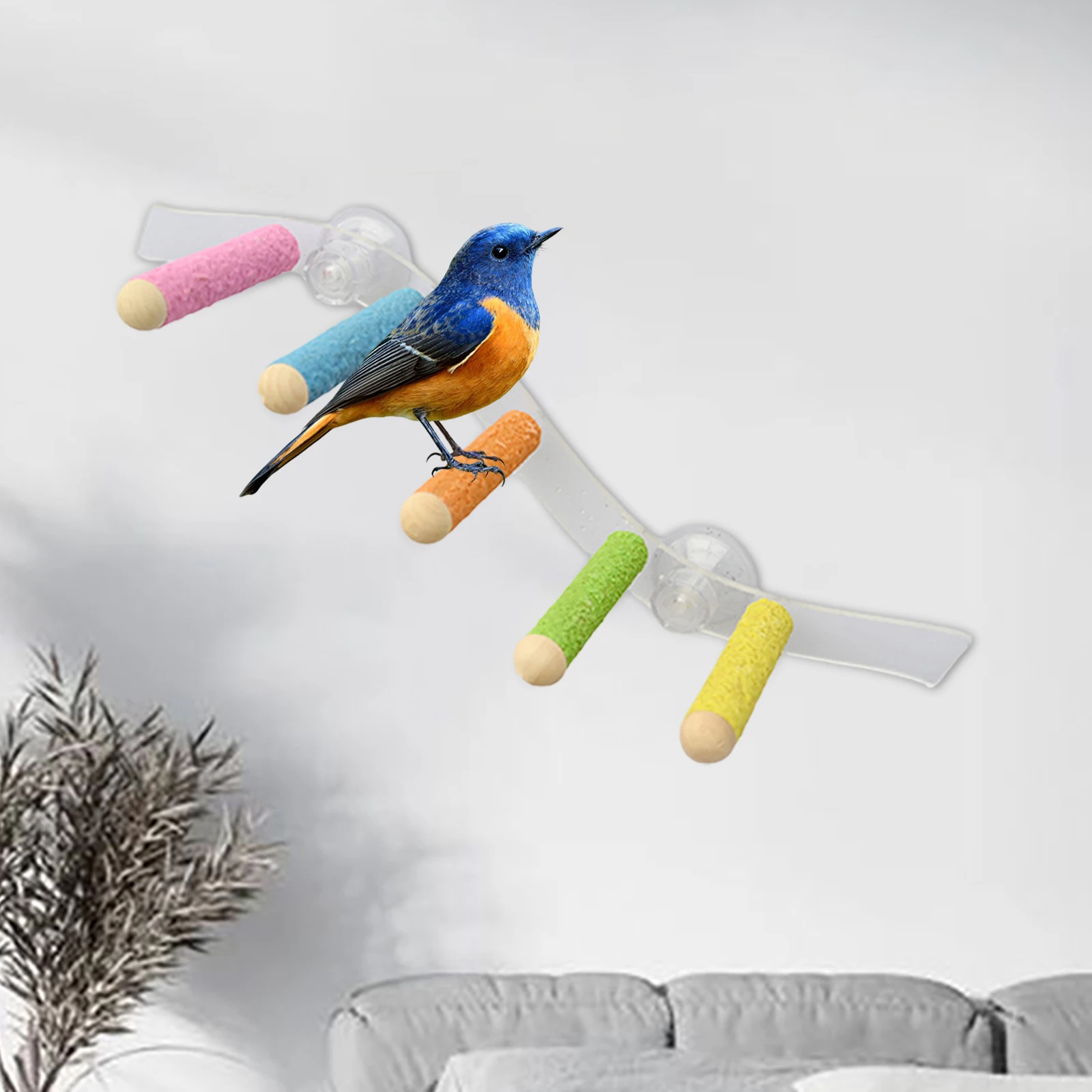 Suction Cup Wood Parrot Stand Hanging Bird Toy Window Shower Perch Toy for Budgie Bluebirds Hummingbird Bird Supplies
