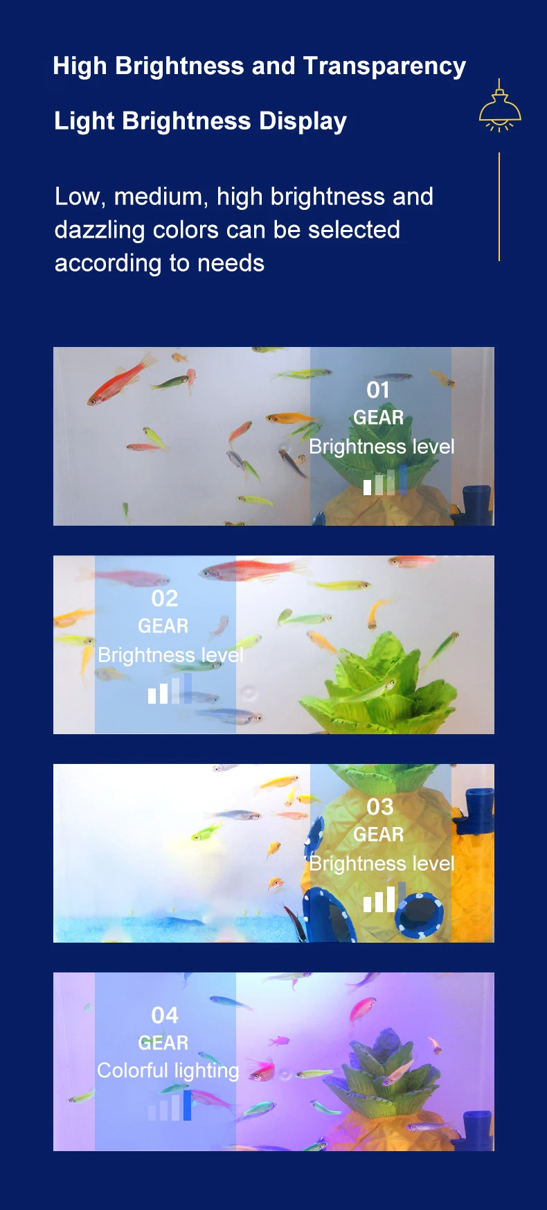 Fish Tank Living Room Small Mini Douyu Tank Household Tabletop Ecological Tank Self Circulating Back Filter Goldfish Tank