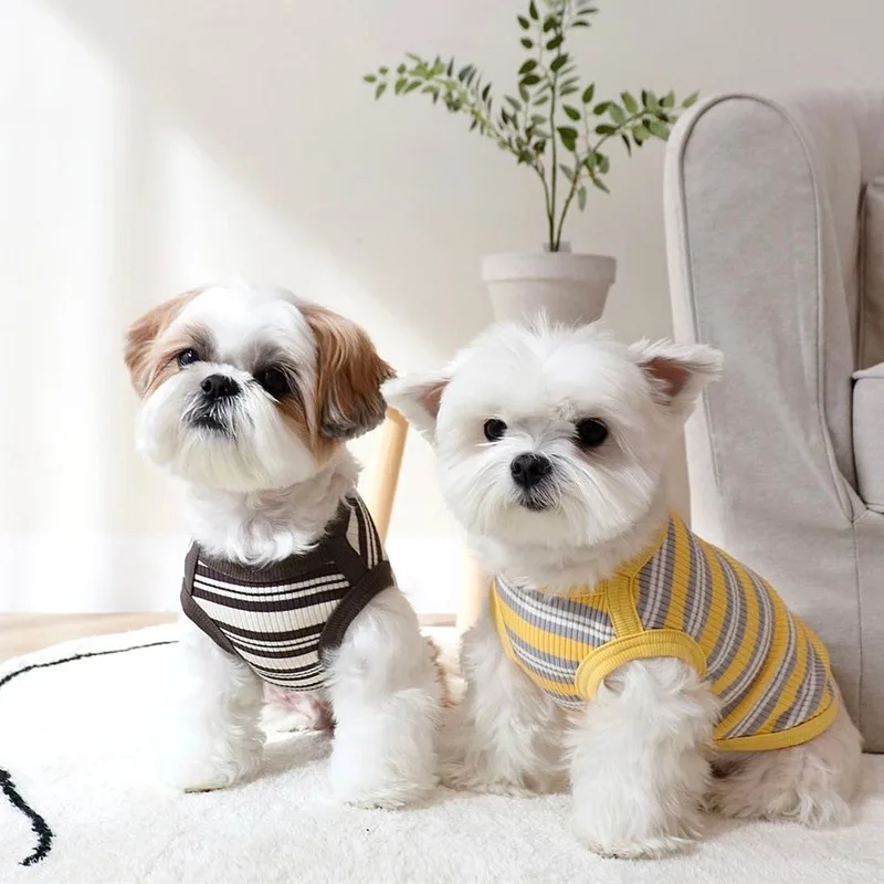 Pet Dog Vest Puppy Clothes Summer Cotton Bear Print T-Shirt Striped Dog Shirt Girls Dog Costume Chihuahua Korean Style Clothing