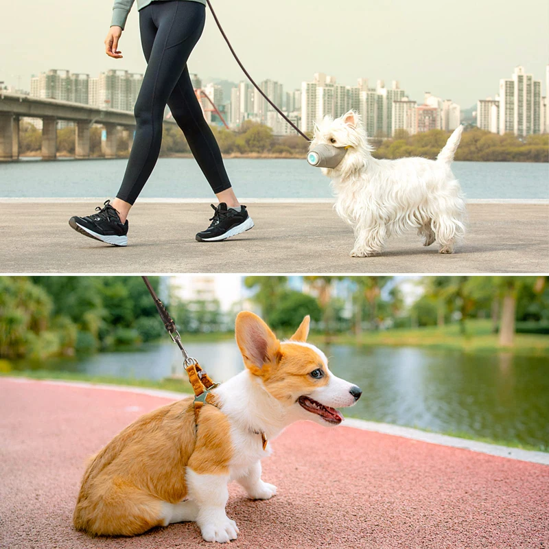 Benepaw Sturdy Genuine Leather Dog Leash Lightweight Comfortable Handle Soft Slim Pet Lead For Puppies Cats Less Than 10kg/22lbs