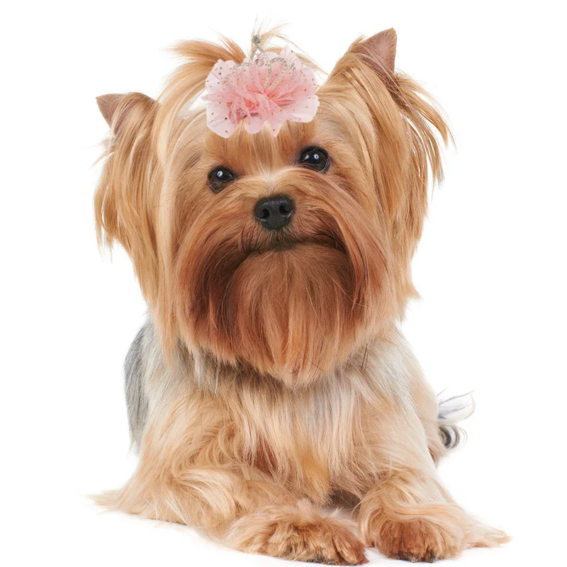 Dog Cat Pet Hair Clip Cute Lace Princess Crown Wedding Birthday Party Photography Decoration Pet Supplies New Year Gift