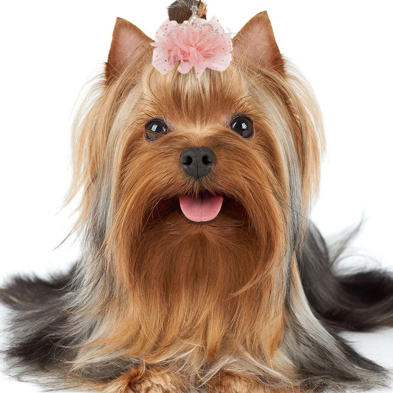 Dog Cat Pet Hair Clip Cute Lace Princess Crown Wedding Birthday Party Photography Decoration Pet Supplies New Year Gift