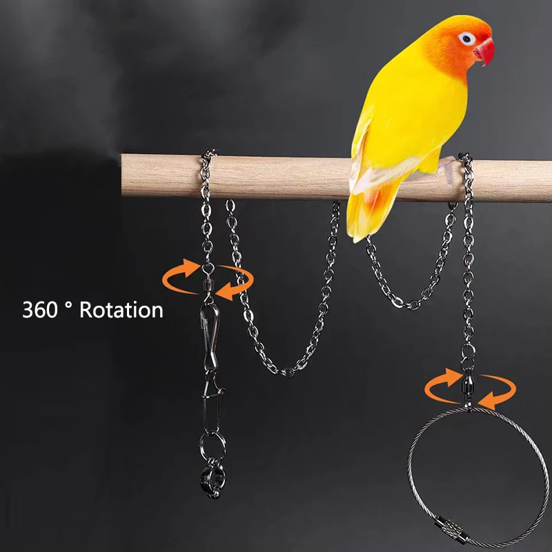 Stainless Steel Bird foot Chain Parrot Anti-flying Traction Rope Bird Feet Bracelet Alloy Foot Ring Pet Bird Training Leash