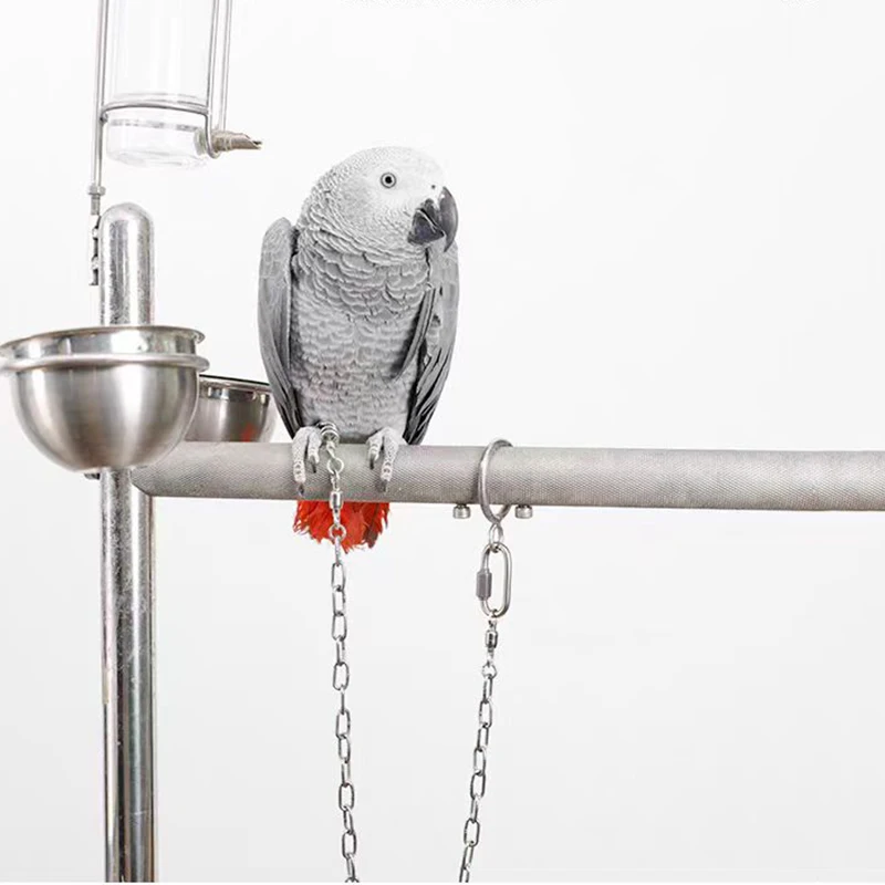 Stainless Steel Bird foot Chain Parrot Anti-flying Traction Rope Bird Feet Bracelet Alloy Foot Ring Pet Bird Training Leash