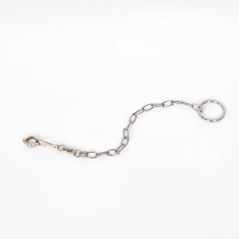 Stainless Steel Bird foot Chain Parrot Anti-flying Traction Rope Bird Feet Bracelet Alloy Foot Ring Pet Bird Training Leash
